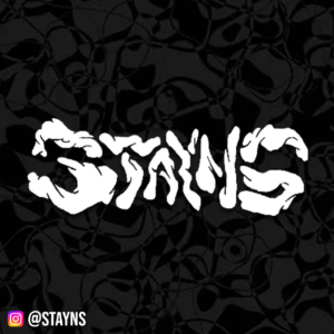 STAYNS VINYL DECAL STICKER