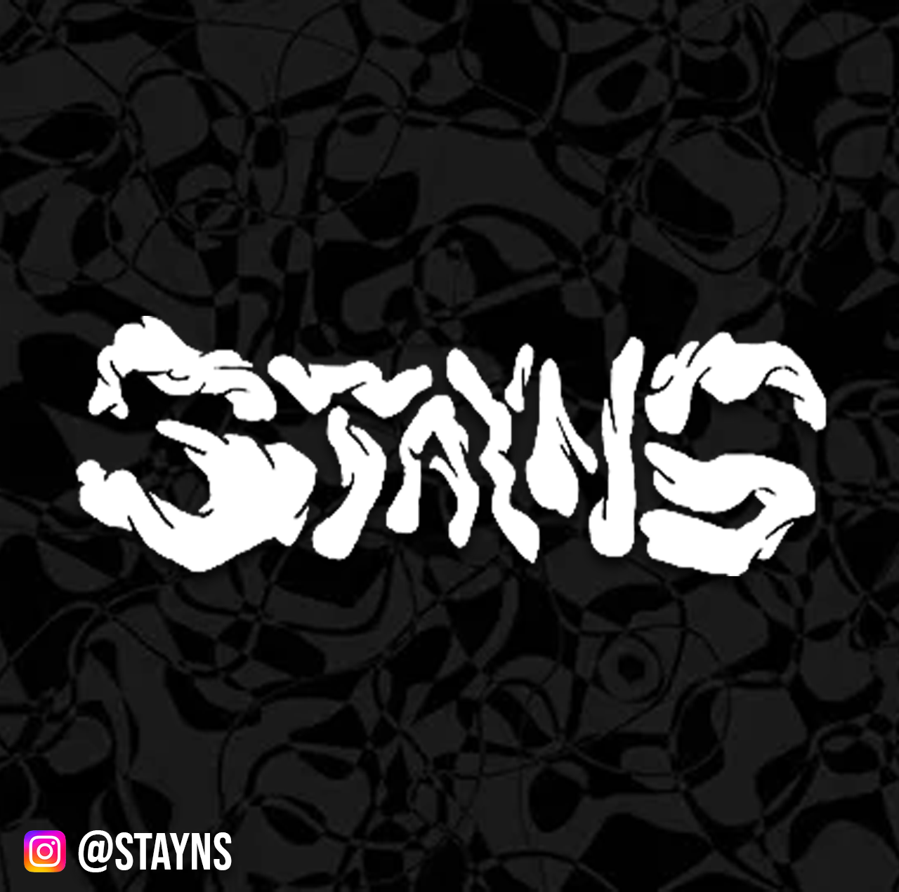 STAYNS VINYL DECAL STICKER