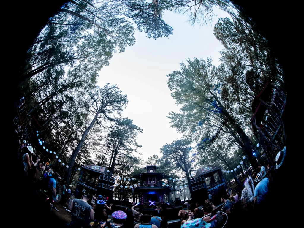 jcodymedia-2025-8-7-wenzday-elements-festival-edited-22